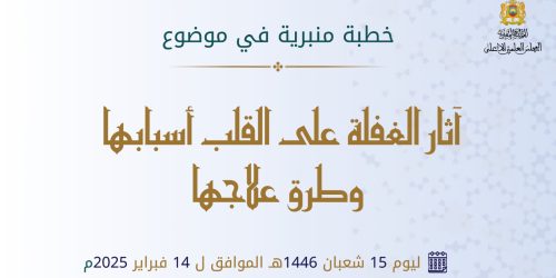 WhatsApp Image 2025-02-12 at 15.07.01